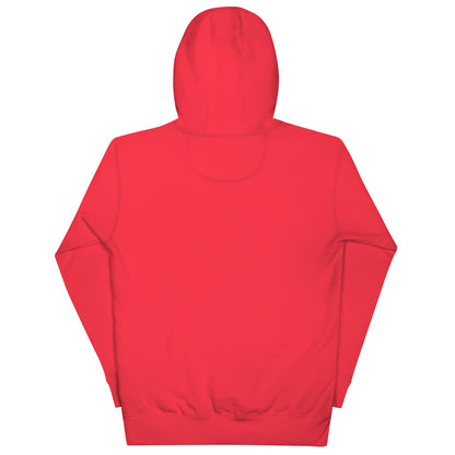 Classic ABE Grey Embroidered Hoodie, featuring a soft design and warm hood, perfect for chilly evenings.