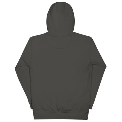 Classic ABE Grey Embroidered Hoodie with a cozy hood and pouch pocket, perfect for chilly evenings.